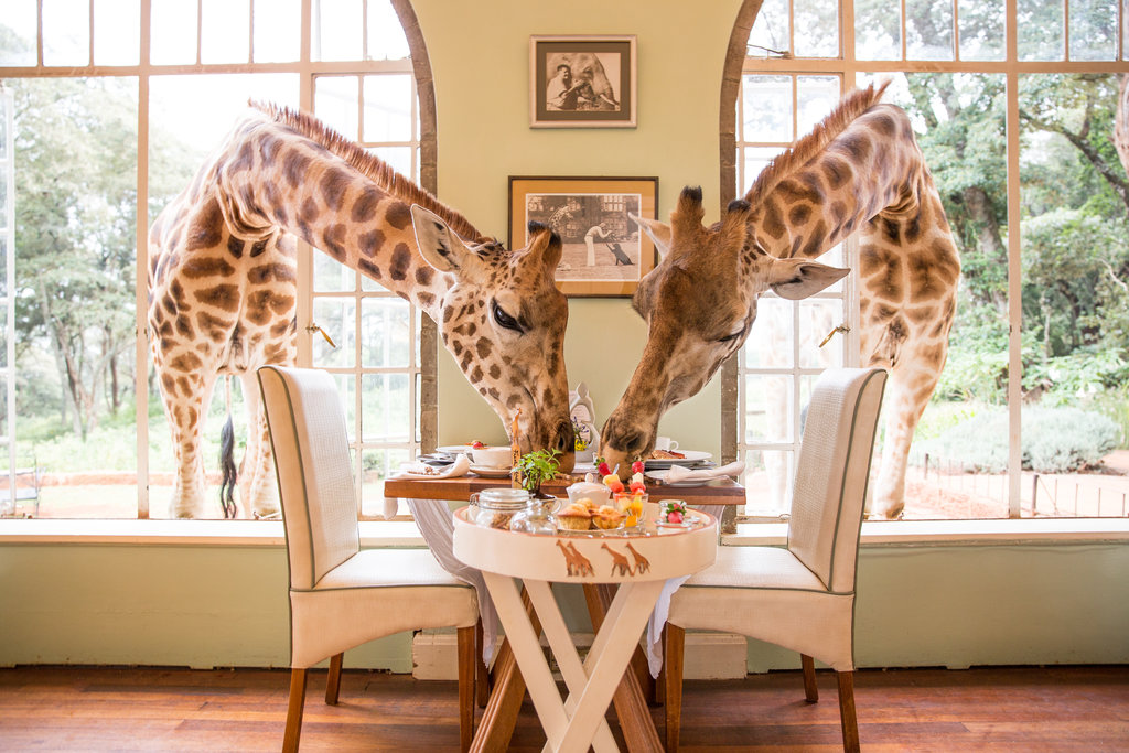 Giraffe Manor, Kenya