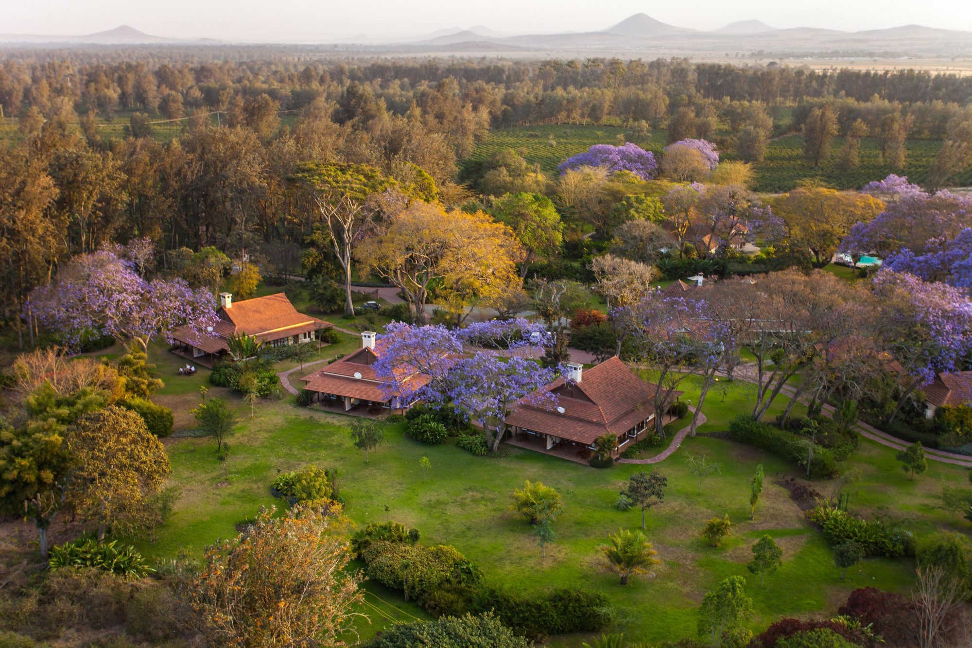 Tanzanian Legendary Expeditions - Travel Experience