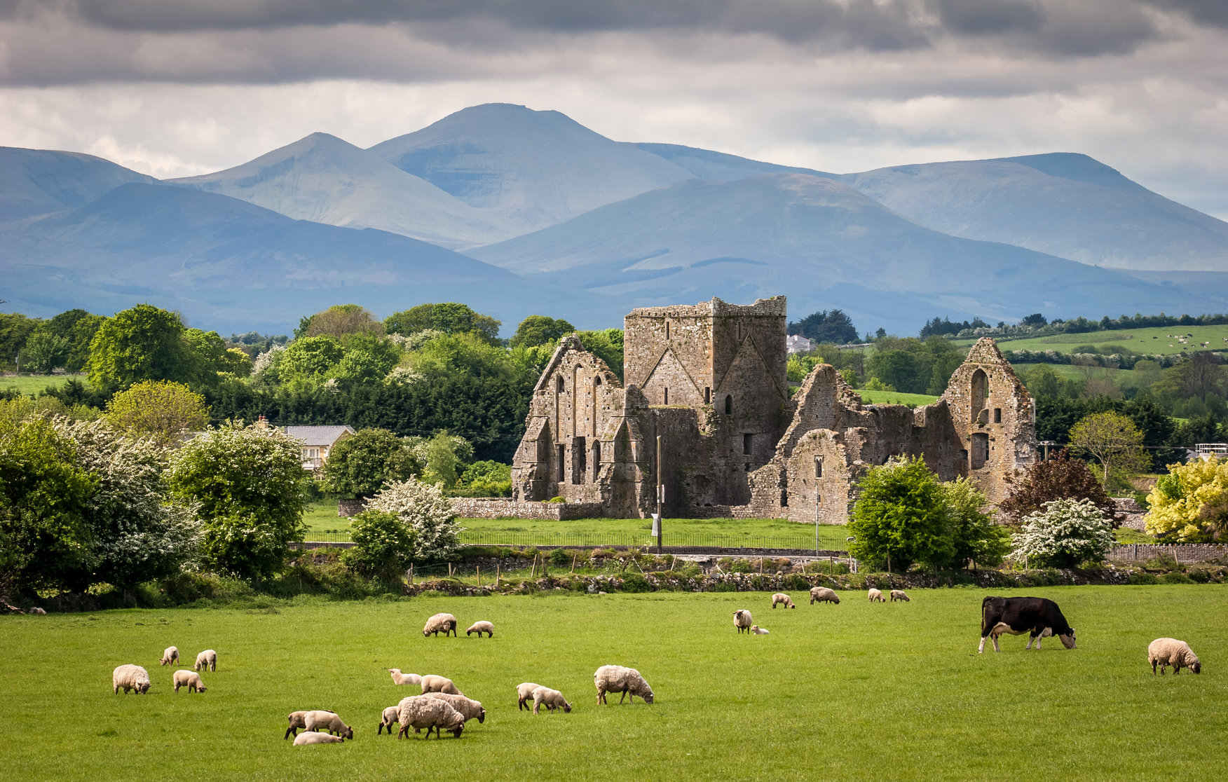 religious tours of ireland